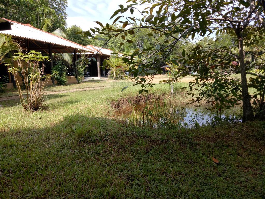 Mangrove Villa - Bentota River Exterior photo